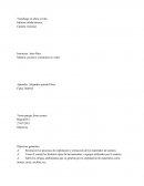 Procesos constructivos viales