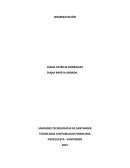 TRABAJO DE JERARQUIZACION