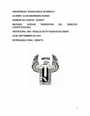 NUEVAS TENDENCIAS DEL DERECHO CONSTITUCIONAL