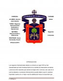 Negocios internacionales Ambientes y Operaciones