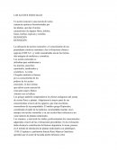 Propiedades de los aceites esenciales