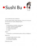 PLAN DE PREVENCIÓN DE RIESGOS Agentes fisicos Ruido y vibraciones