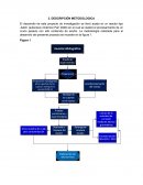 Corrosion en aceros especificos