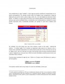 Conversiones. El sistema métrico y sus unidades