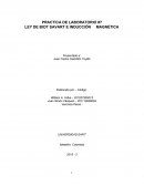 LEY DE BIOT SAVART E INDUCCIÓN MAGNÉTICA