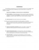 Importancia biológica y funcional de los carbohidratos