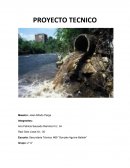 CONTAMINACION EN LAS ALCANTARILLAS.