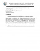 IINFORME DE ACTIVIDADES PRACTICAS Nº 002