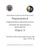 PEMA etapa3 cuadro comparativo