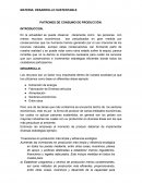 PATRONES DE CONSUMO DE PRODUCCIÓN