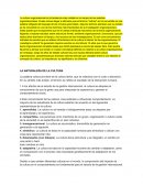 La naturaleza de la cultura organizacional