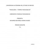 PSICOLOGIA- TEORIAS PSICOLOGICAS