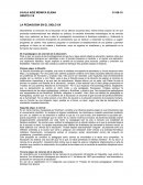 La pedagogia en el siglo XX