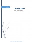 La píldora del día después - la mariposa