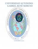 ENFOQUES DE LA TORIA DEL DINERO