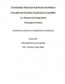 Fisiología Humana “Incretinas y su efecto en el metabolismo de la glucosa”