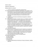 La importancia del Diagnostico Organizacional