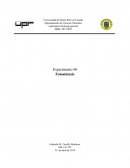 Método de extracción y separación de pigmentos fotosintéticos