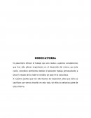 Reforestacion y Medio Ambiente