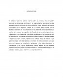 Ensayo la pobreza promueve la democracia