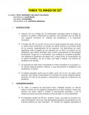 TAREA “EL MAGO DE OZ”
