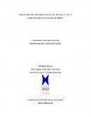 TRIBUS URBANAS CONTEMPLADAS EN EL ARTICULO 7 DE LA CONSTITUCION POLITICA DE COLOMBIA?