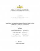 ANALISIS DE LOS MERCADOS PERFECTAMENTES COMPETITIVOS COMPETENCIA PERFECTA Y MONOPOLIO
