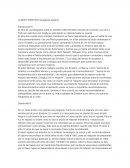 Albert einstein navegante solitario