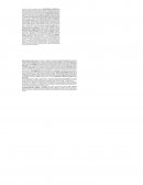 Guia comercio integral