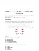 Guía de trabajo “Fenómenos eléctricos de la materia”