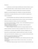 La Adolescencia MONOGRAFIA