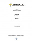 Investigación -Riesgos que se presentan en el momento de la prestación del servicio