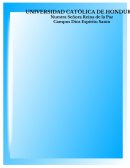 HISTORIA DE ORVASA - ORNAMENTALES DEL VALLE