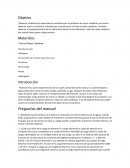 Práctica sobre rayos catódicos