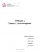 Práctico Nº 2: “Membrana celular en vegetales