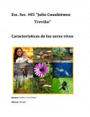 Características de los seres vivos