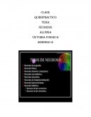 RESUMEN DE ENTREVISTA - SICOPATO