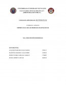 IMPORTANCIA DE LOS MODELOS MATEMATICOS