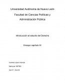 Introducción al estudio del Derecho Ensayo capítulo XI