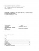 PROMOVER FABRICACION DEL QUESO FAMILIAR Y EL QUESO PIZZA