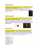 Tipos de parráfos: descriptivo, comparativo, narrativo...