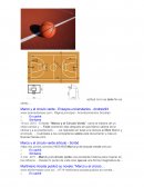 MARCO Y EL CÍRCULO VERDE" DEL ESCRITOR COLOMBIANO MARTINIANO ACOSTA. JUEVES 23 DE SEPTIEMBRE HORA: 6:30 P.M.