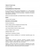 Empresa a trabajar Computadores en línea S.A.S