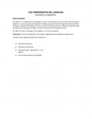 Componentes del lenguaje - Semántica y pragmática.