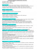 FUNCIONES COMERCIAL EXPORTACION ( a Enero 2013)