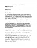 Corrientes Filosóficas Ideas sobre la lectura