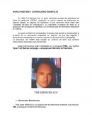 WORLD WIDE WEB Y CONVENCIONES GENERALES