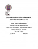 Activiadd de metacognicion biologia 2 etapa 2