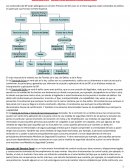 Teorías de la Ley; del Delito; y de la Pena.