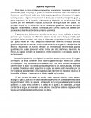 EJEMPLO DE UN OBJETIVO ESPECIFIFCO